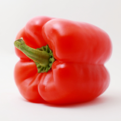 Paprika rood