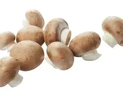 Champignons Kastanje